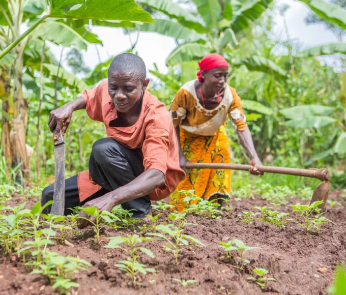 Bénin, Agriculture