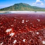 lac Natron, Tanzanie