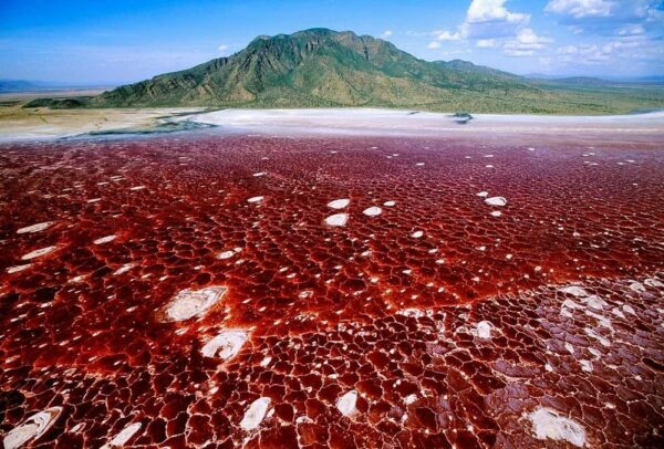 lac Natron, Tanzanie