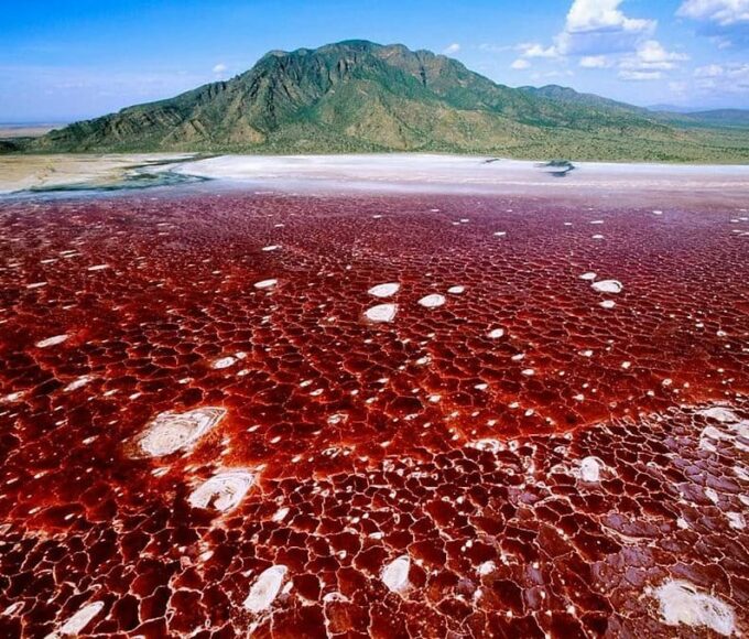 lac Natron, Tanzanie